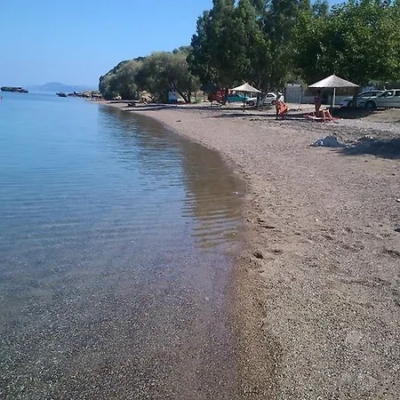 Evoikos & *