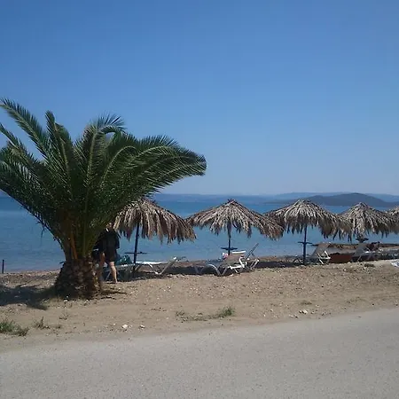 Evoikos & Guest house Livanatai