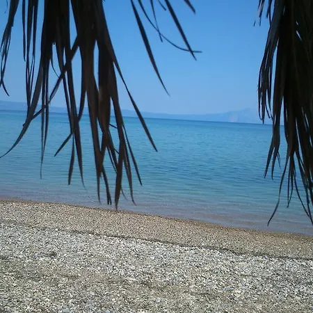 Evoikos & Guest house *