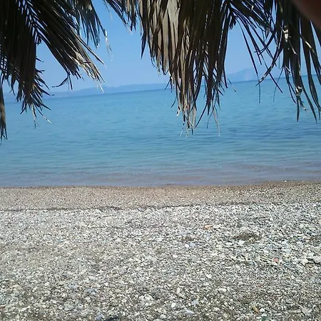 Evoikos & Guest house *