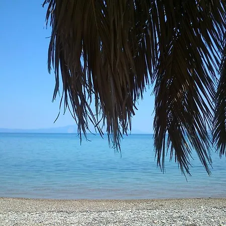 Evoikos & 4* Livanátai