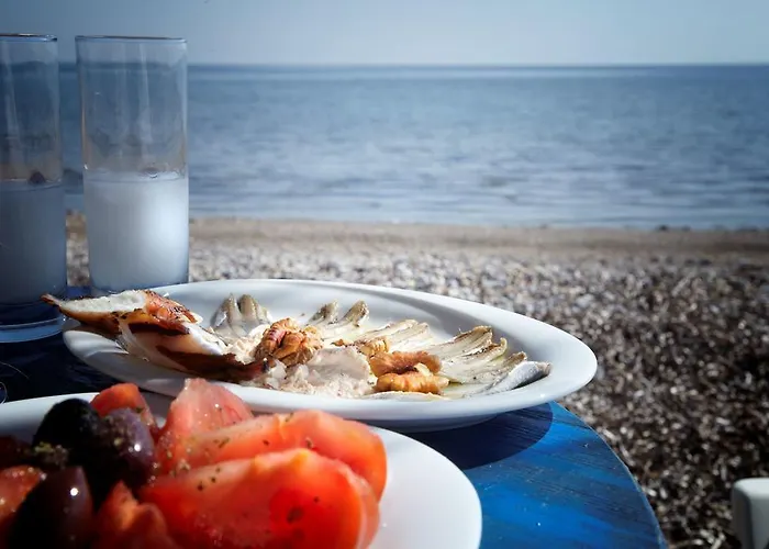 Evoikos & Guest house