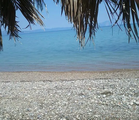 Evoikos & Guest house 4*